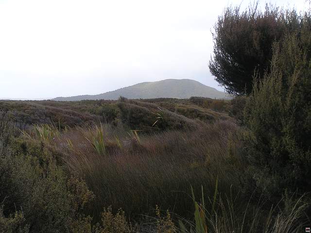 steward island 005.jpg